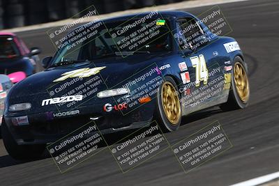 media/Mar-15-2025-CalClub SCCA (Sat) [[f66681bc18]]/Group 5/Race (Turn 6)/